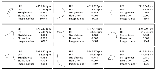 Fibre pictures of carbon